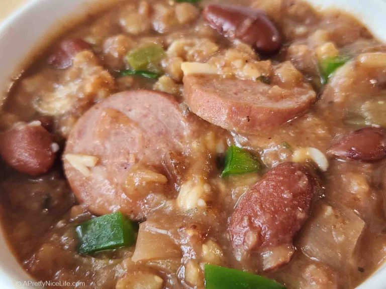 Easy Instant Pot Beans and Rice close up