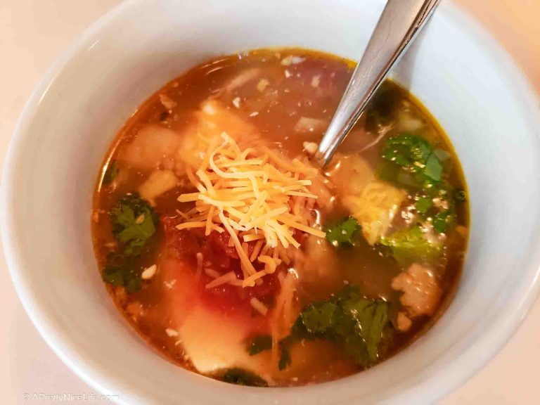 chicken tortilla soup in a cup with a spoon submerged in the tasty broth
