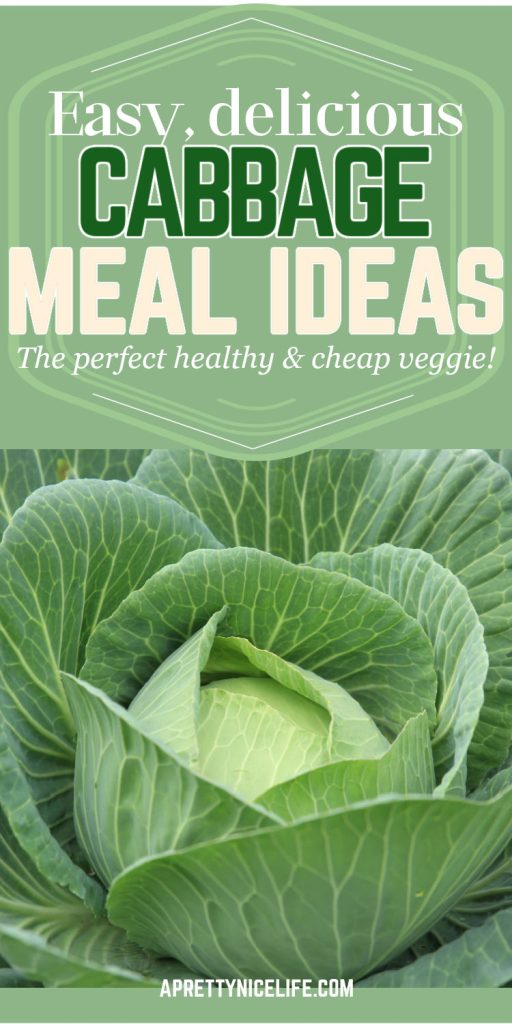 Easy, healthful, and delicious meals you can make with cabbage